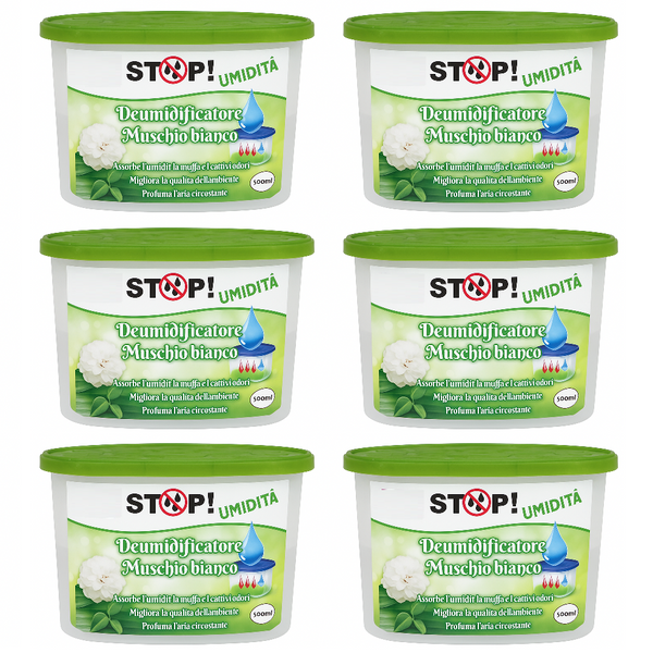 6pz Deumidificatore Casa Portatile 500ml contro Muffa Assorbi Umidità Muschio Bianco